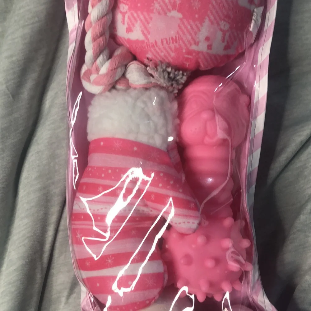 Holiday Dog Toys 6pc - Picture 4 of 7